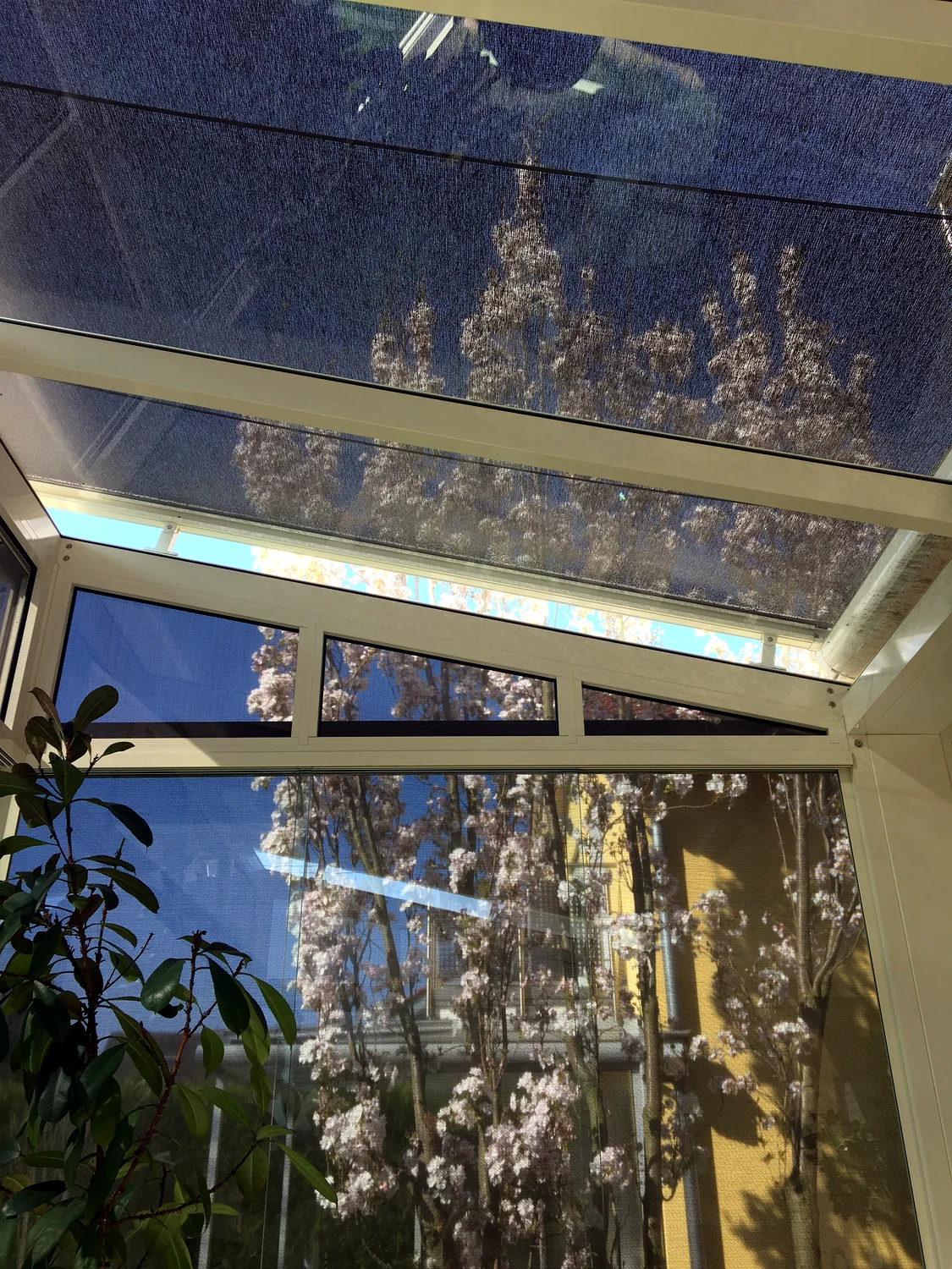 Durchsicht von innen – Referenz von Fenster und Rollladen Müller